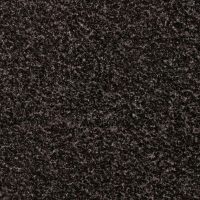 Regal Black